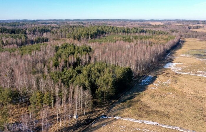 piski, Orzysz, Grzegorze, Działka Leśna 2,35 ha Grzegorze gm Orzysz