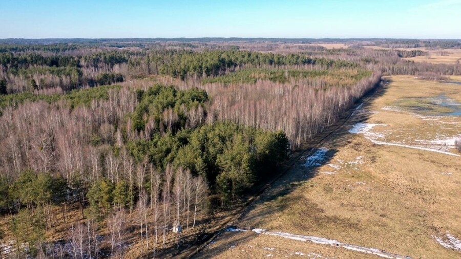 piski, Orzysz, Grzegorze, Działka Leśna 2,35 ha Grzegorze gm Orzysz