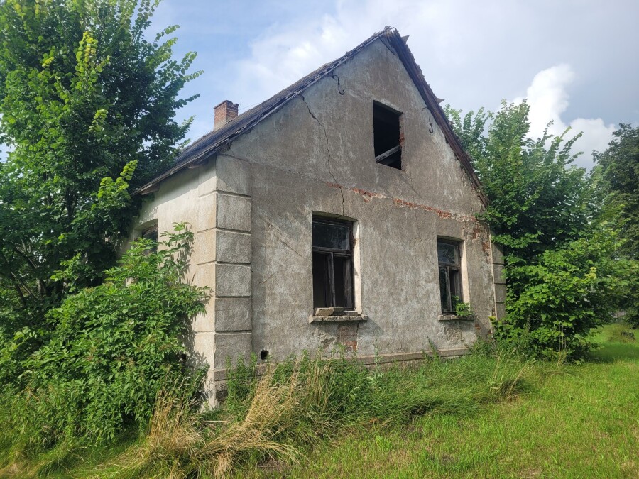 kolneński, Grabowo, Łebki Duże, Siedlisko  do własnej aranżacji
