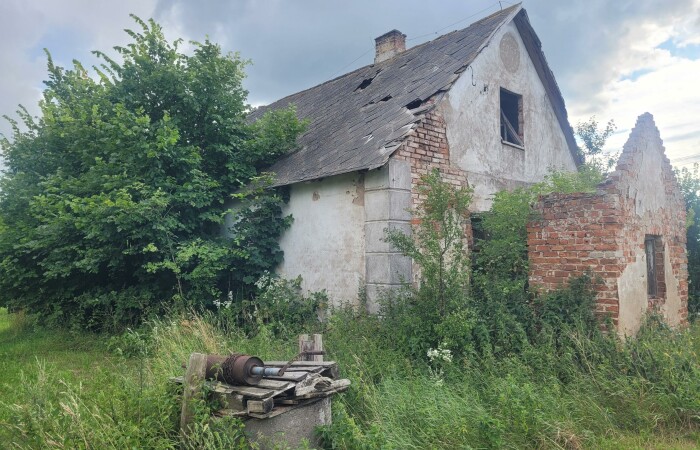 kolneński, Grabowo, Łebki Duże, Siedlisko  do własnej aranżacji