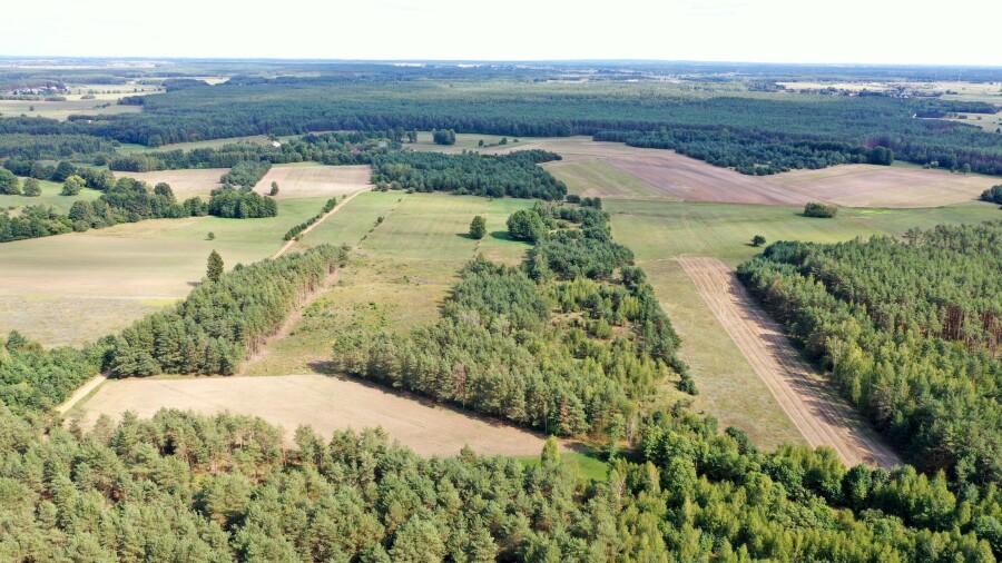 łomżyński, Miastkowo, Osetno, Działki rolne i leśne do wycinki 15,57ha Osetno Drogoszewo Gmina Miastkowo