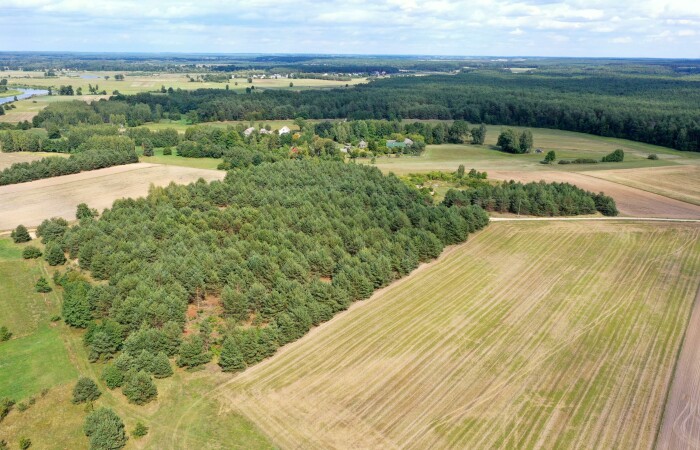 łomżyński, Miastkowo, Osetno, Działki rolne i leśne do wycinki 15,57ha Osetno Drogoszewo Gmina Miastkowo