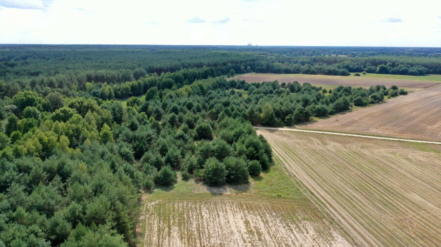 łomżyński, Miastkowo, Osetno, Działki rolne i leśne do wycinki 15,57ha Osetno Drogoszewo Gmina Miastkowo