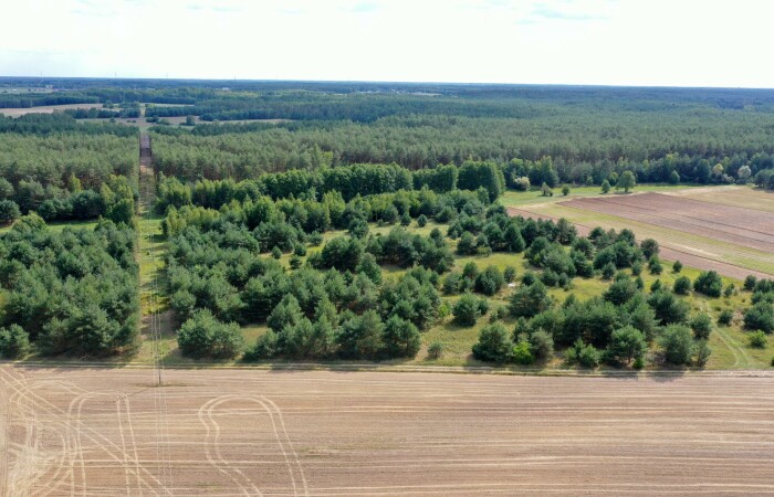 łomżyński, Miastkowo, Osetno, Działki rolne i leśne do wycinki 15,57ha Osetno Drogoszewo Gmina Miastkowo