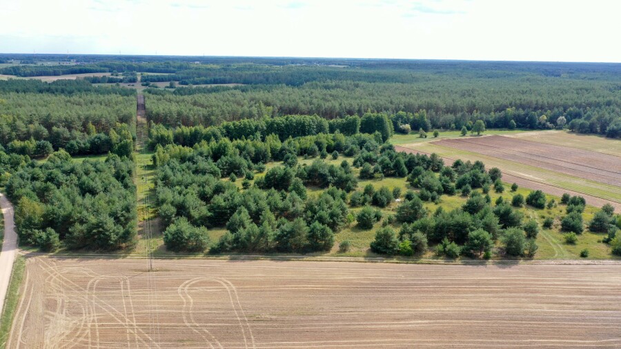 łomżyński, Miastkowo, Osetno, Działki rolne i leśne do wycinki 15,57ha Osetno Drogoszewo Gmina Miastkowo