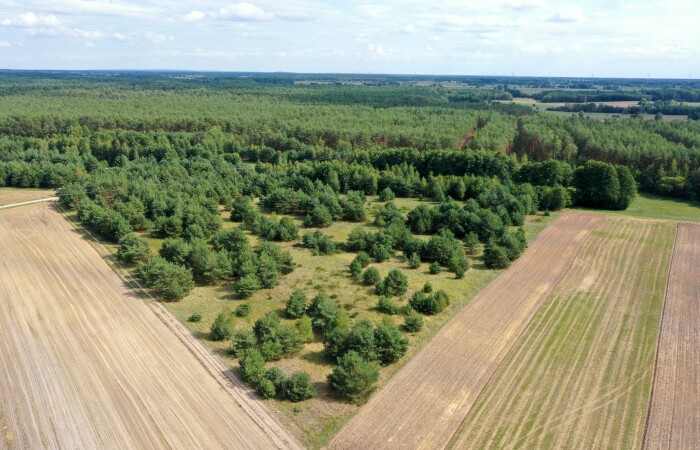 łomżyński, Miastkowo, Osetno, Działki rolne i leśne do wycinki 15,57ha Osetno Drogoszewo Gmina Miastkowo