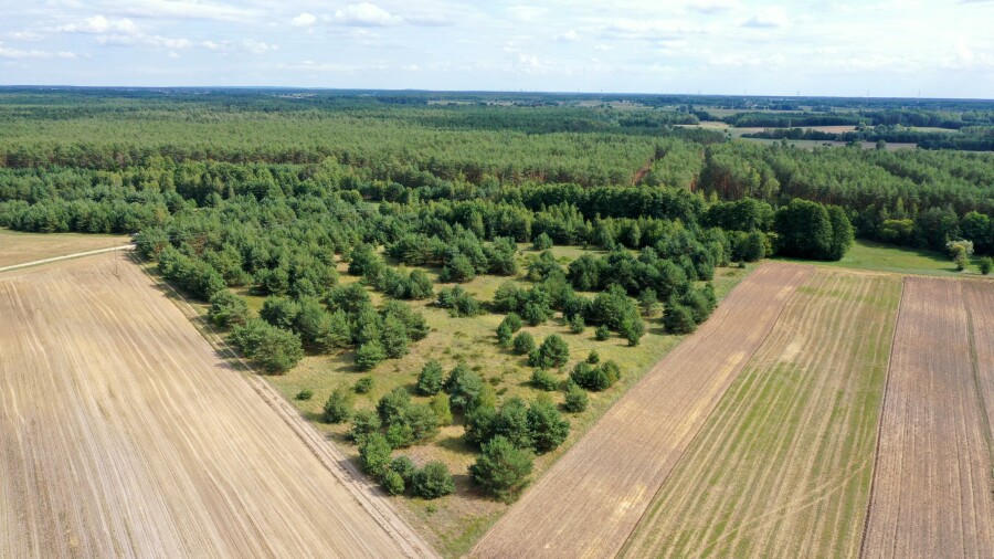 łomżyński, Miastkowo, Osetno, Działki rolne i leśne do wycinki 15,57ha Osetno Drogoszewo Gmina Miastkowo