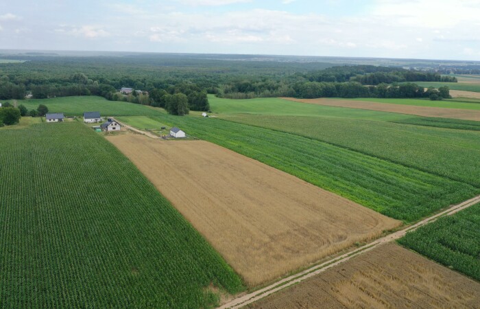 łomżyński, Łomża, Pniewo, Szkolna, Malownicze działki budowlane Pniewo - OSTATNIA DZIAŁKA