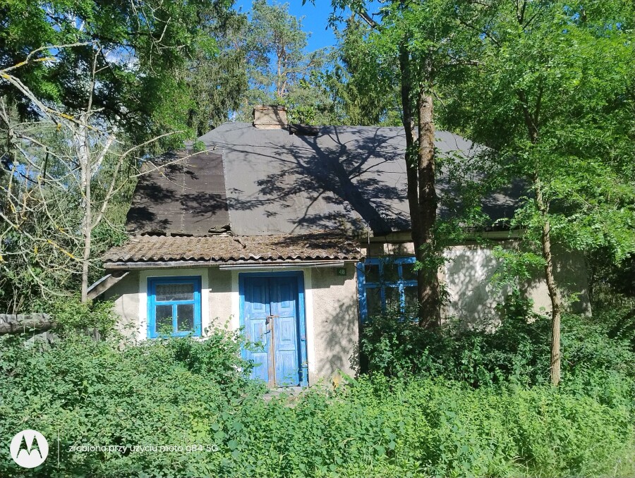 ostrołęcki, Łyse, Szafranki, Klimatyczne siedlisko z własnym lasem