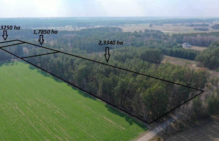 ostrołęcki, Łyse, Szafranki, Klimatyczne siedlisko z własnym lasem