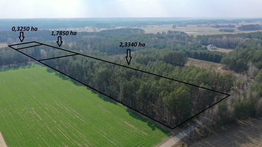 ostrołęcki, Łyse, Szafranki, Klimatyczne siedlisko z własnym lasem