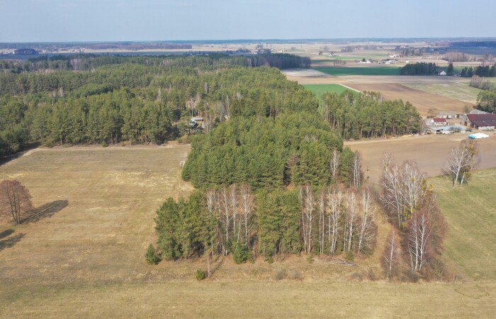 ostrołęcki, Łyse, Szafranki, Klimatyczne siedlisko z własnym lasem