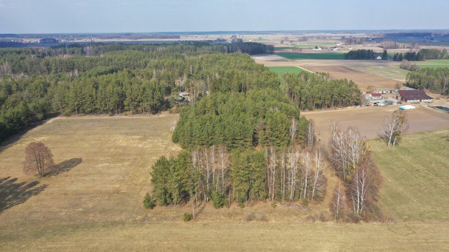 ostrołęcki, Łyse, Szafranki, Klimatyczne siedlisko z własnym lasem