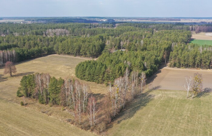 ostrołęcki, Łyse, Szafranki, Klimatyczne siedlisko z własnym lasem