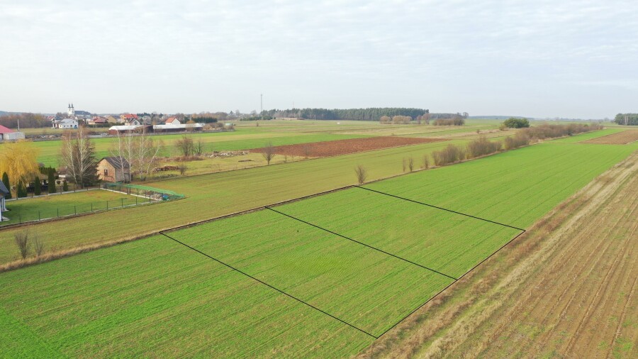 łomżyński, Jedwabne, Mickiewicza, Działki budowalne na nowopowstającym osiedlu