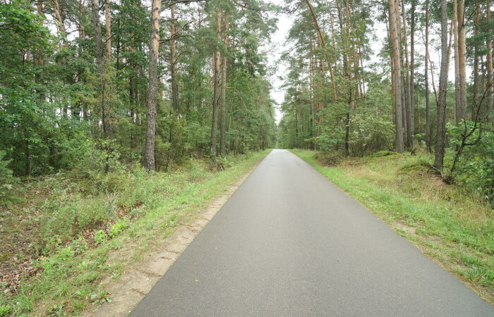 łomżyński, Zbójna, Kolonia Suchy Borek, Zielona enklawa w otulinie lasów