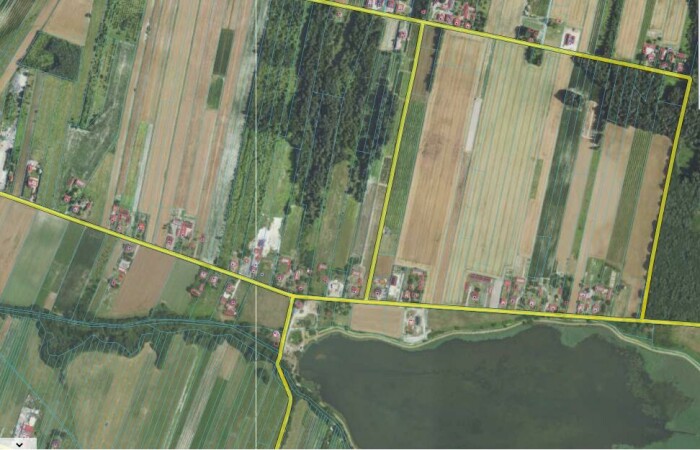 kraśnicki, Dzierzkowice, Krzywie, Stare Siedlisko Krzywie 42 gm Dierzkowice