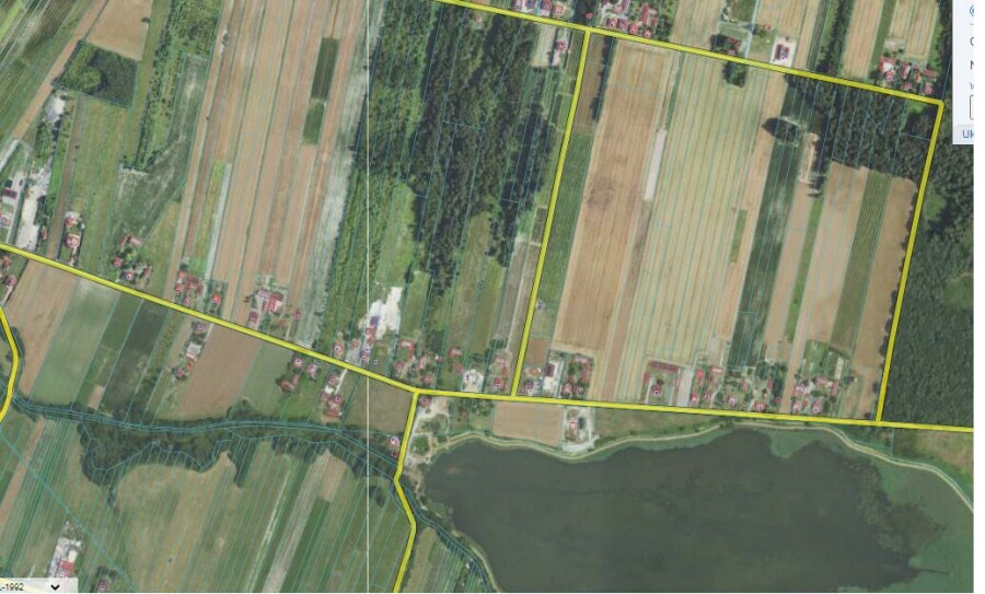 kraśnicki, Dzierzkowice, Krzywie, Stare Siedlisko Krzywie 42 gm Dierzkowice
