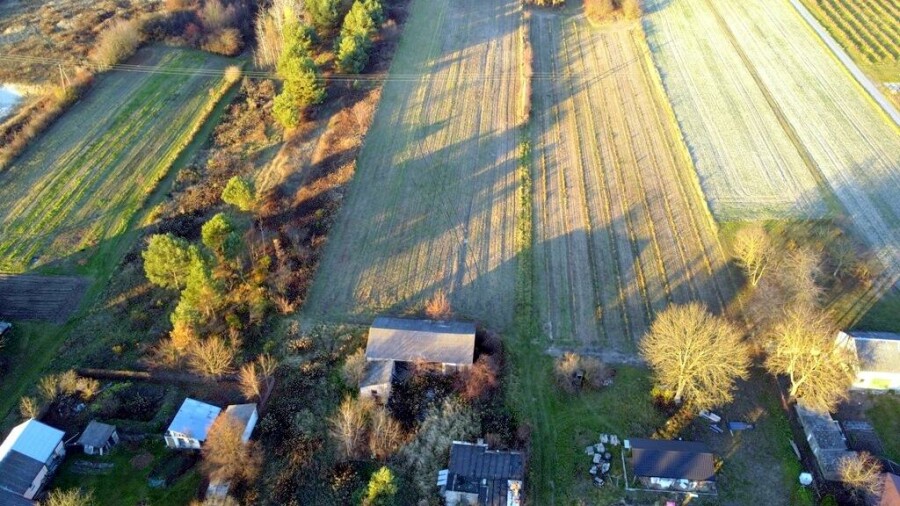 kraśnicki, Dzierzkowice, Krzywie, Stare Siedlisko Krzywie 42 gm Dierzkowice