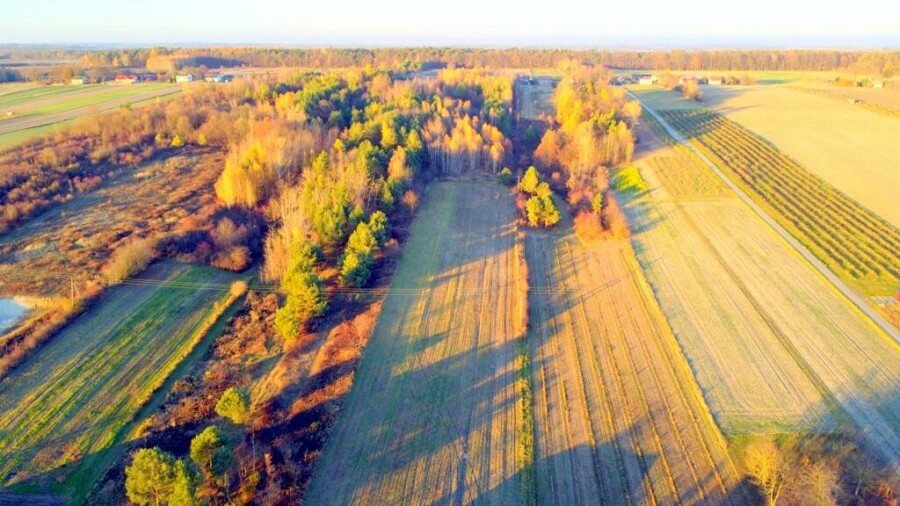 kraśnicki, Dzierzkowice, Krzywie, Stare Siedlisko Krzywie 42 gm Dierzkowice