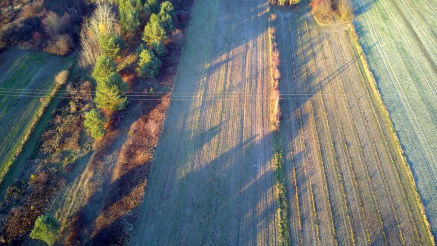 kraśnicki, Dzierzkowice, Krzywie, Stare Siedlisko Krzywie 42 gm Dierzkowice