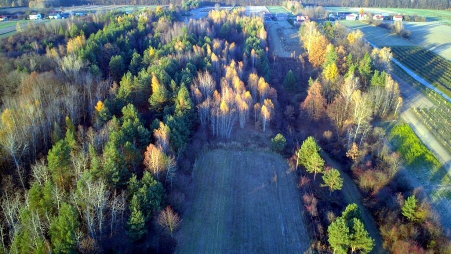 kraśnicki, Dzierzkowice, Krzywie, Stare Siedlisko Krzywie 42 gm Dierzkowice
