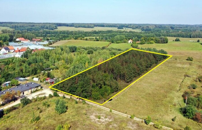 warmińsko-mazurskie, węgorzewski, Działka bud Ogonki gm Węgorzewo