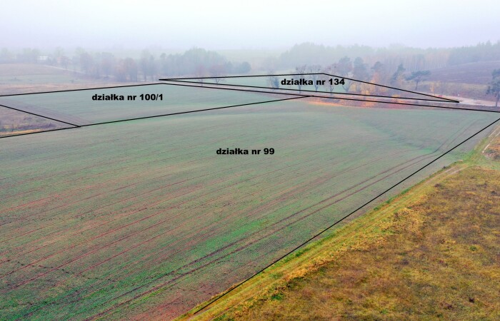 Dziubiele, Orzysz, Działka na sprzedaż