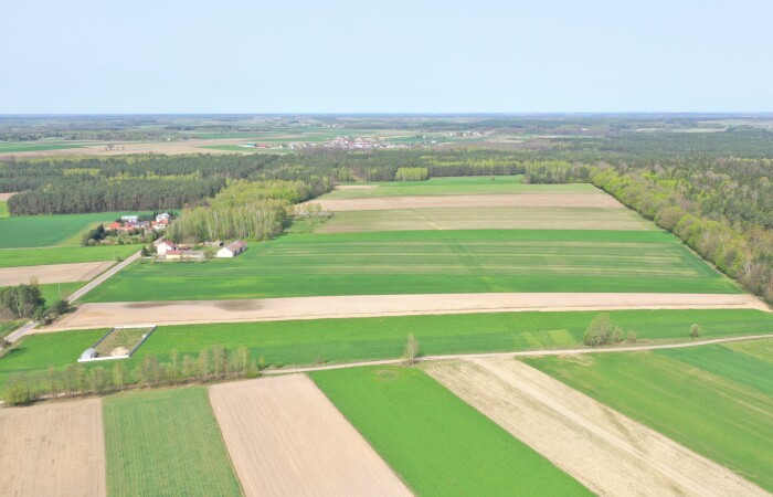 łomżyński, Śniadowo, Szczepankowo, Działki w atrakcyjnych cenach blisko natury