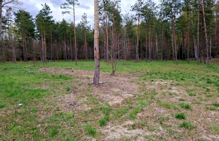 giżycki, Miłki, Rydzewo, Mazurska, Działki bud. Rydzewo gm Miłki