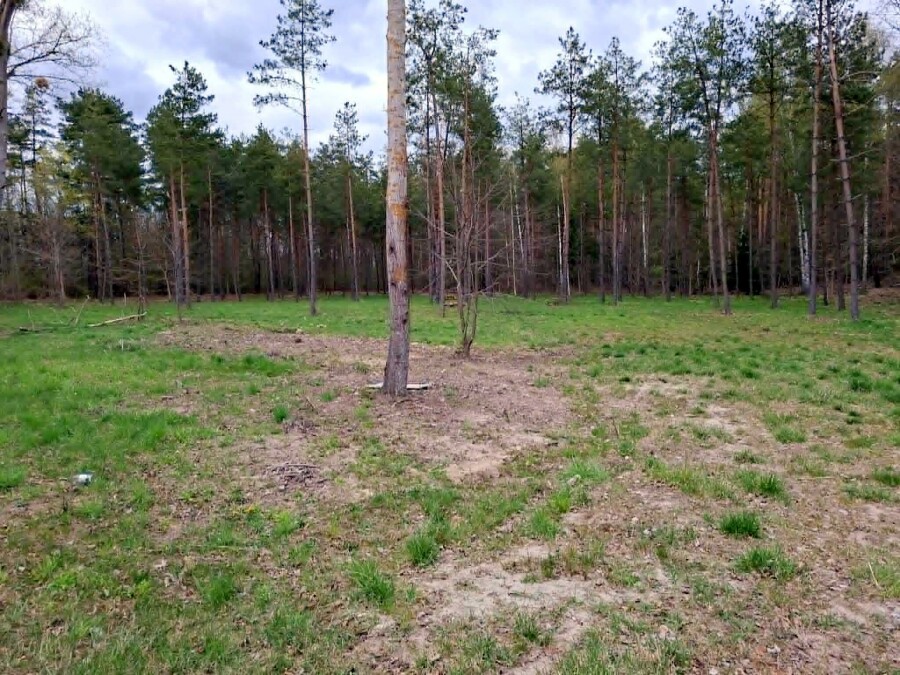giżycki, Miłki, Rydzewo, Mazurska, Działki bud. Rydzewo gm Miłki