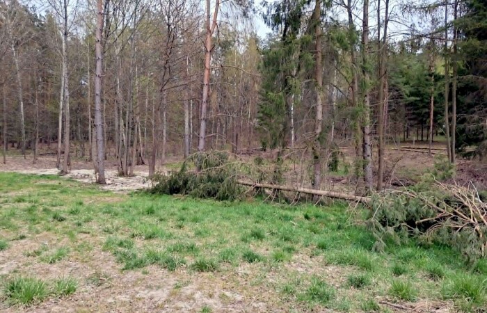 giżycki, Miłki, Rydzewo, Mazurska, Działki bud. Rydzewo gm Miłki