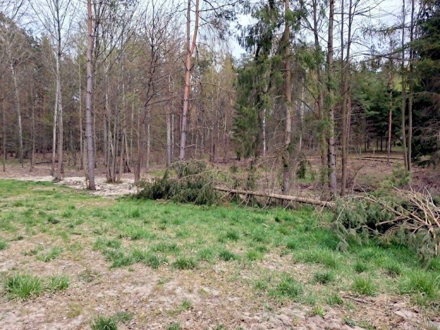 giżycki, Miłki, Rydzewo, Mazurska, Działki bud. Rydzewo gm Miłki