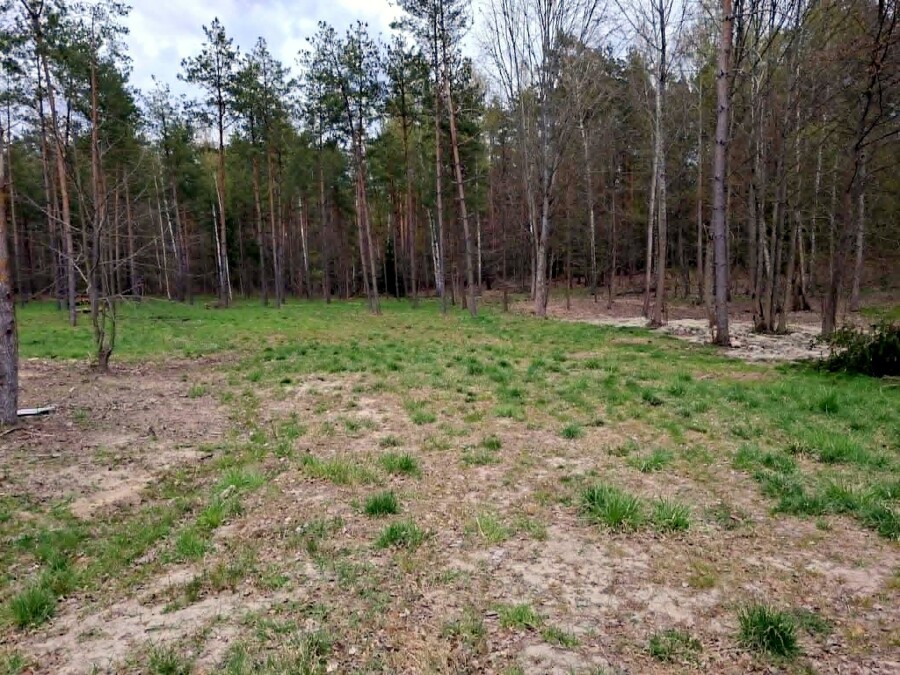 giżycki, Miłki, Rydzewo, Mazurska, Działki bud. Rydzewo gm Miłki