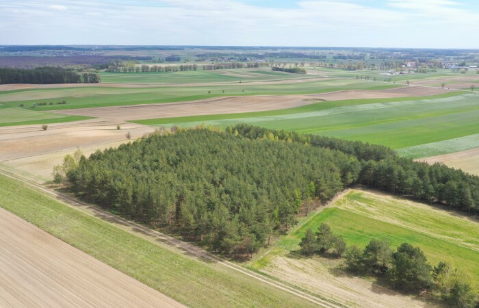 łomżyński, Łomża, Pniewo, Działka leśna 2,2260 ha – Puchały, gm. Łomża - SUPER CENA