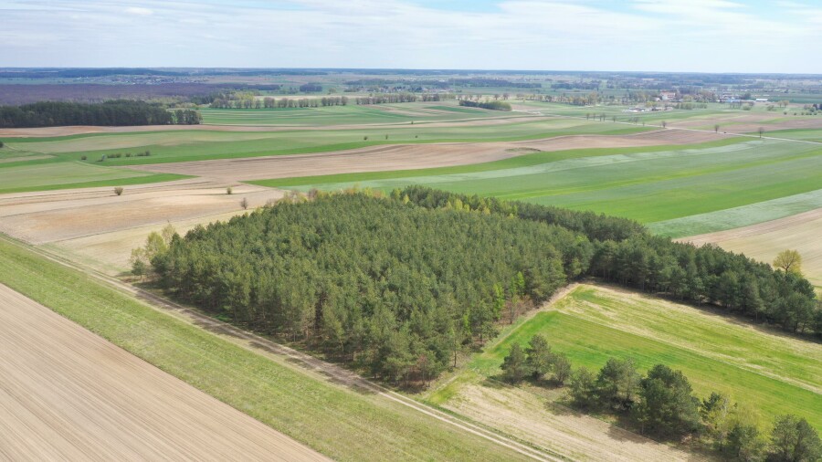 łomżyński, Łomża, Pniewo, Działka leśna 2,2260 ha – Puchały, gm. Łomża - SUPER CENA