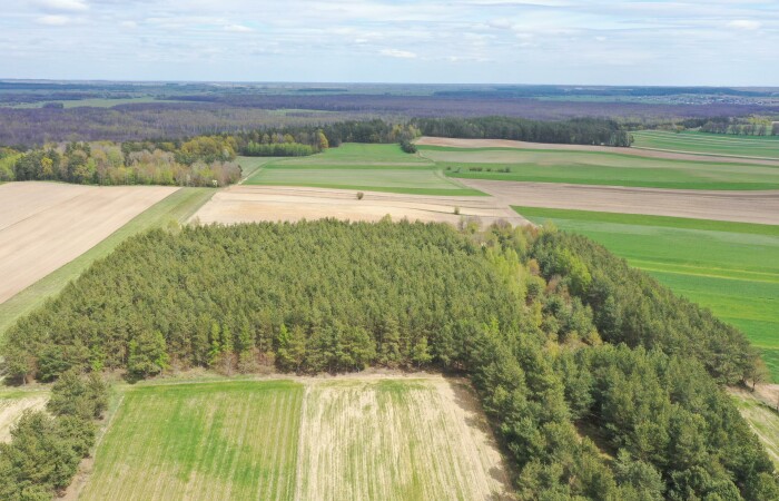 łomżyński, Łomża, Pniewo, Działka leśna 2,2260 ha – Puchały, gm. Łomża - SUPER CENA