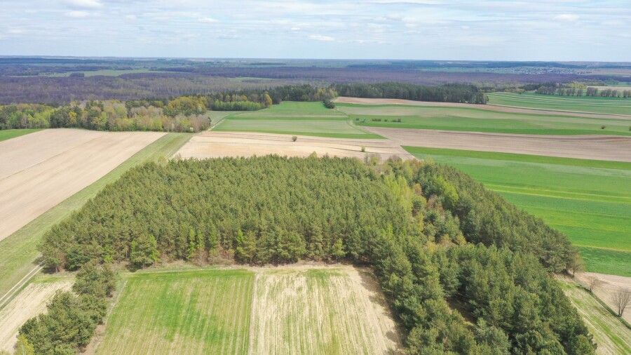 łomżyński, Łomża, Pniewo, Działka leśna 2,2260 ha – Puchały, gm. Łomża - SUPER CENA