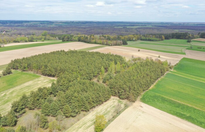 łomżyński, Łomża, Pniewo, Działka leśna 2,2260 ha – Puchały, gm. Łomża - SUPER CENA