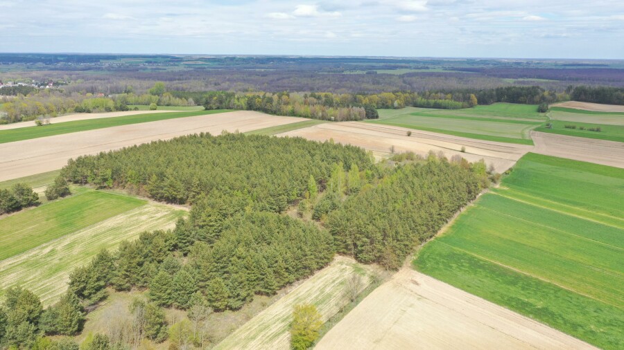 łomżyński, Łomża, Pniewo, Działka leśna 2,2260 ha – Puchały, gm. Łomża - SUPER CENA