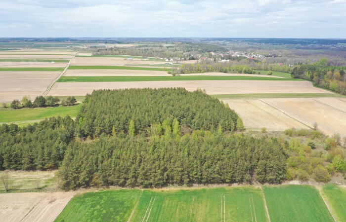 łomżyński, Łomża, Pniewo, Działka leśna 2,2260 ha – Puchały, gm. Łomża - SUPER CENA