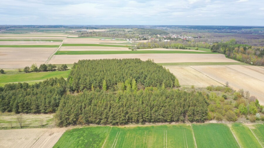 łomżyński, Łomża, Pniewo, Działka leśna 2,2260 ha – Puchały, gm. Łomża - SUPER CENA
