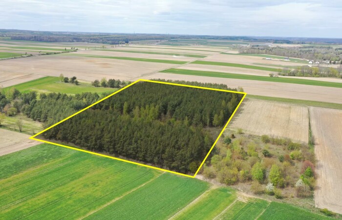 łomżyński, Łomża, Pniewo, Działka leśna 2,2260 ha – Puchały, gm. Łomża - SUPER CENA