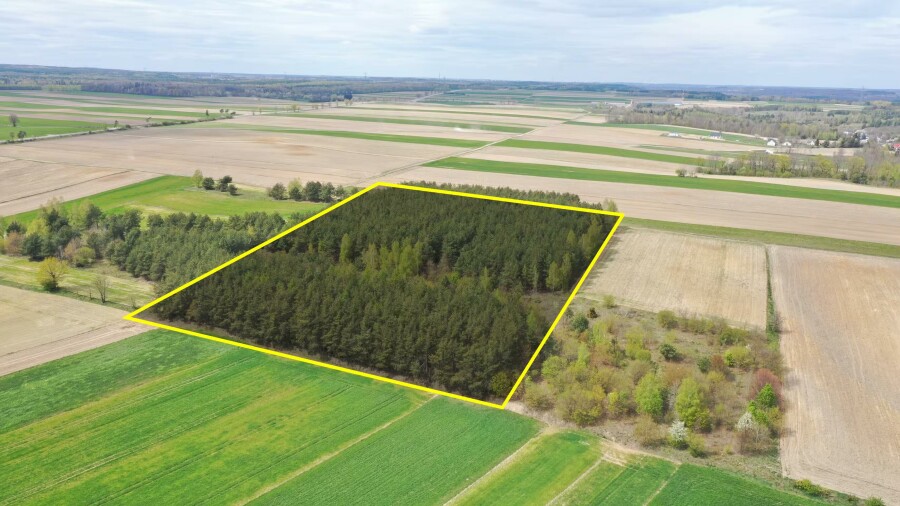 łomżyński, Łomża, Pniewo, Działka leśna 2,2260 ha – Puchały, gm. Łomża - SUPER CENA