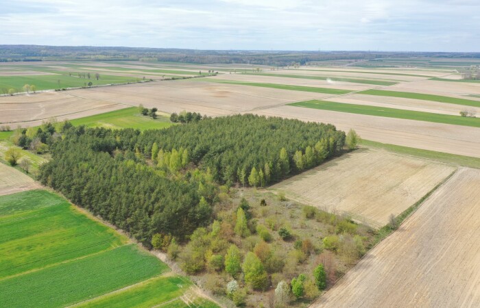 łomżyński, Łomża, Pniewo, Działka leśna 2,2260 ha – Puchały, gm. Łomża - SUPER CENA