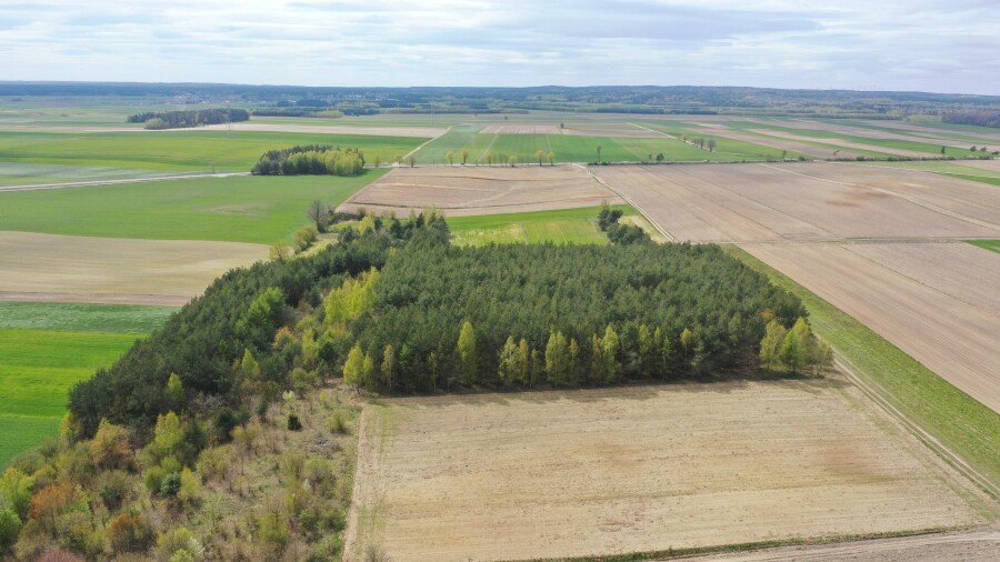 łomżyński, Łomża, Pniewo, Działka leśna 2,2260 ha – Puchały, gm. Łomża - SUPER CENA