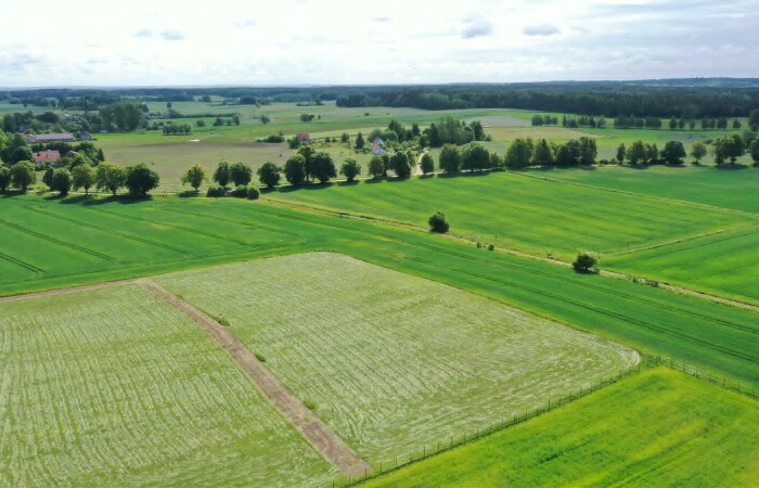 węgorzewski, Pozezdrze, Harsz, Działka budowlana Harsz - Twoja ostoja spokoju