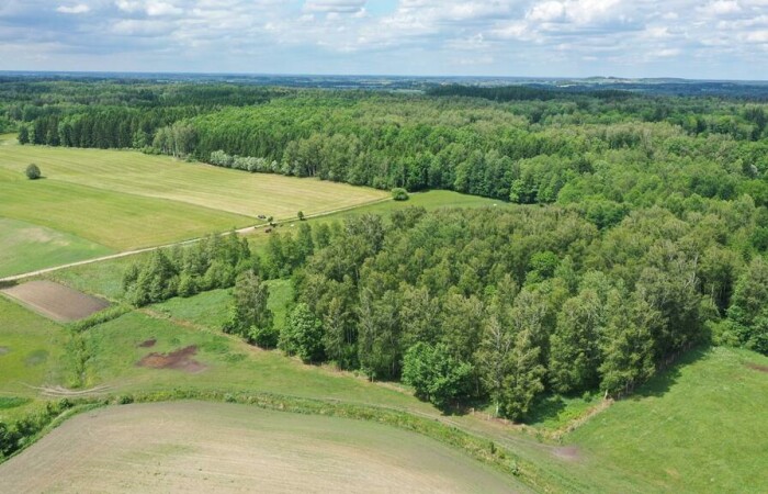 węgorzewski, Węgorzewo, Róże, Działka rolna z Warunkami Zabudowy w m. Róże gm Węgorzewo