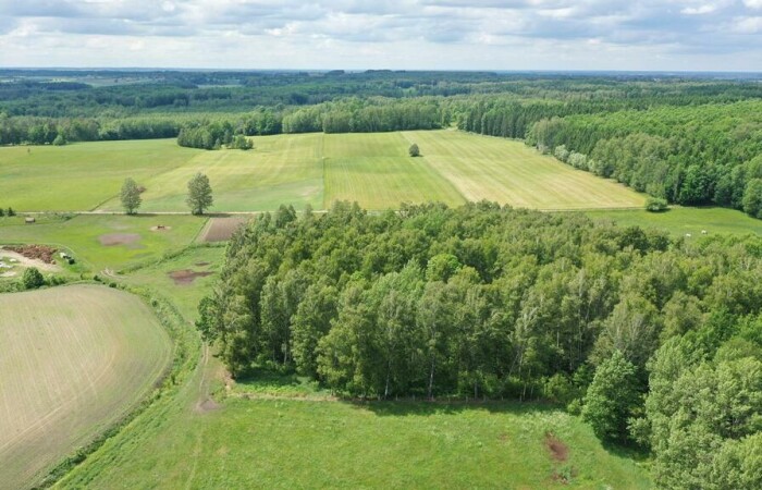 węgorzewski, Węgorzewo, Róże, Działka rolna z Warunkami Zabudowy w m. Róże gm Węgorzewo