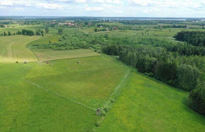 węgorzewski, Węgorzewo, Róże, Działka rolna z Warunkami Zabudowy w m. Róże gm Węgorzewo